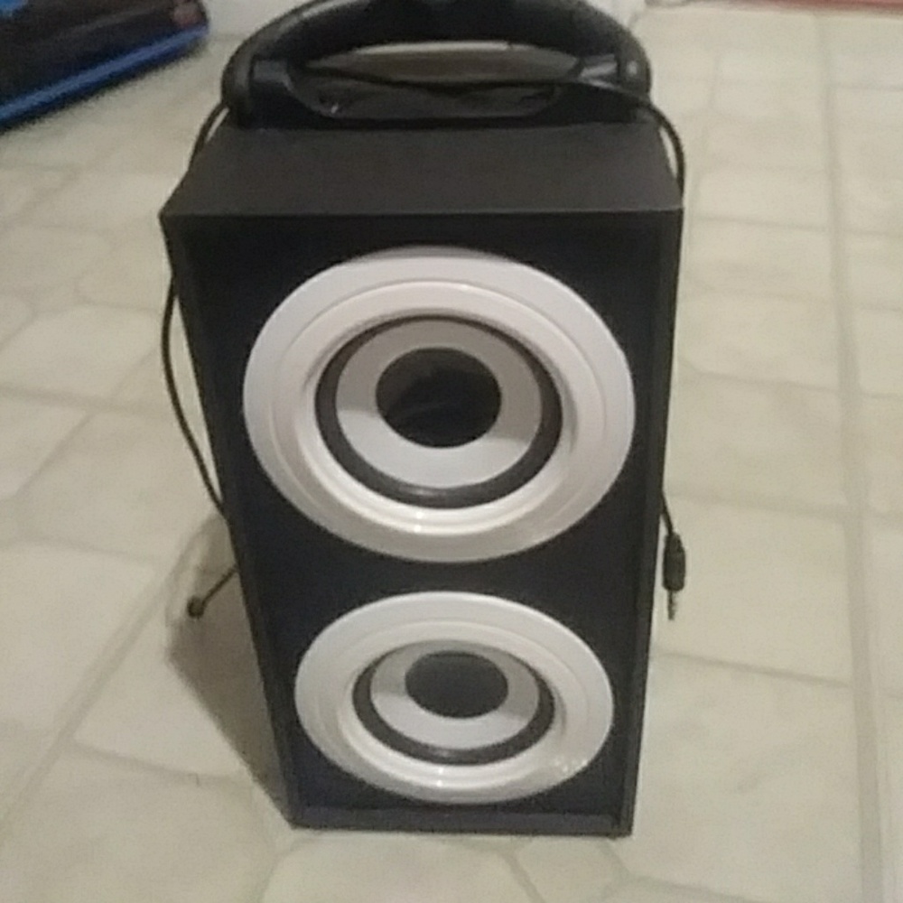 Vibe amp speaker
